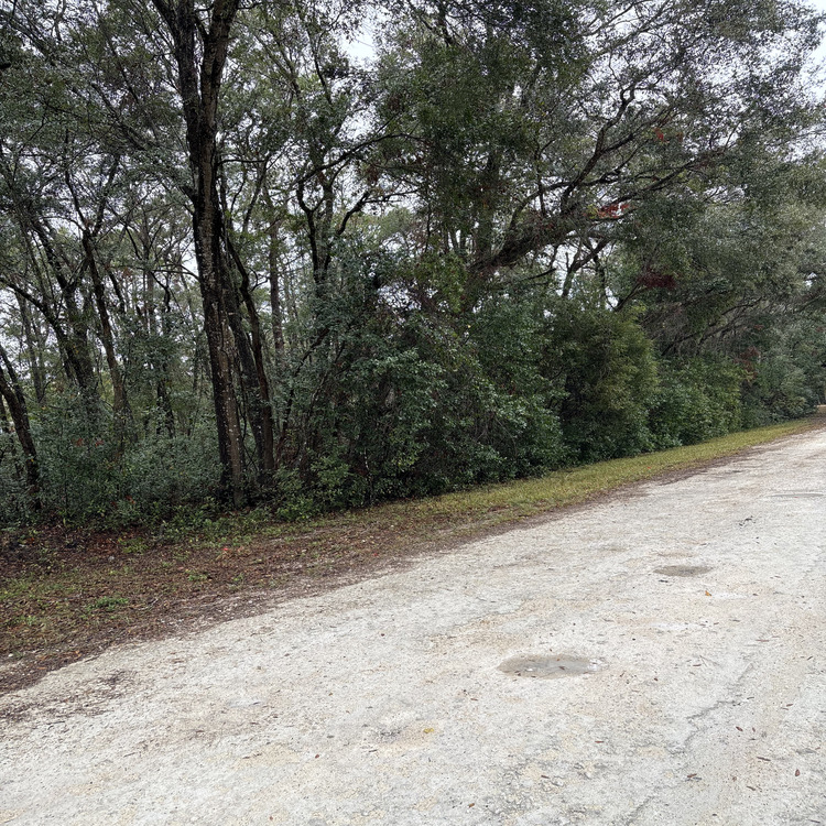 Just another WordPress site