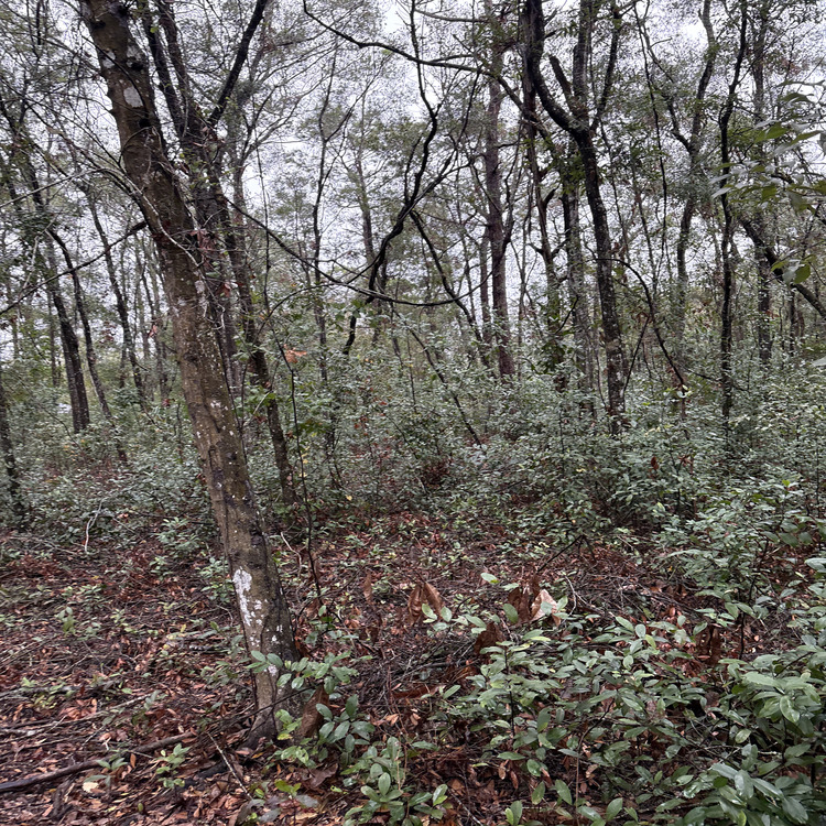 Just another WordPress site