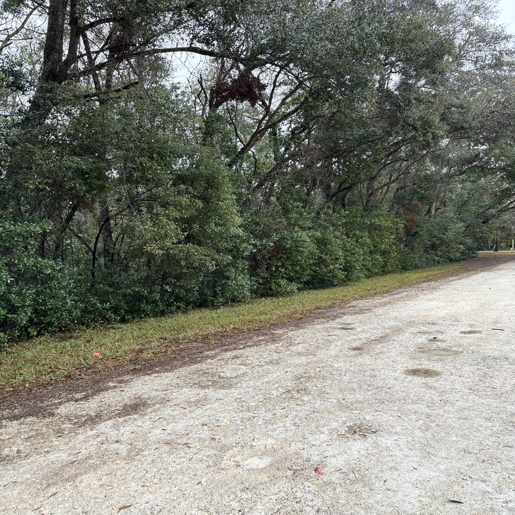 Just another WordPress site