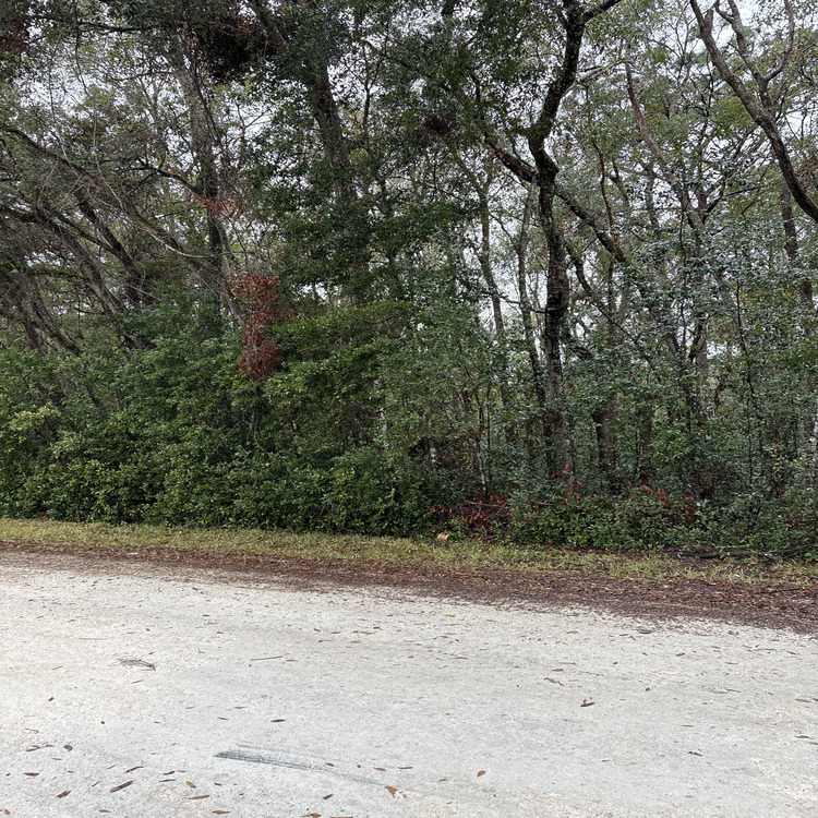 Just another WordPress site