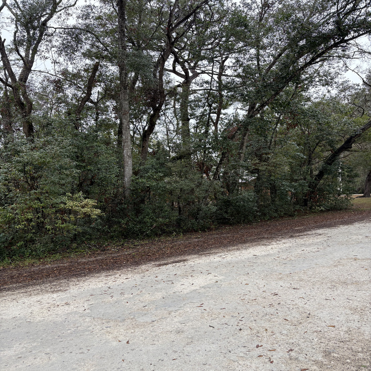 Just another WordPress site