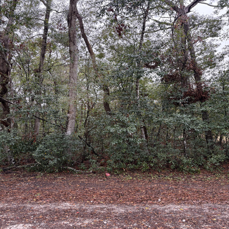 Just another WordPress site