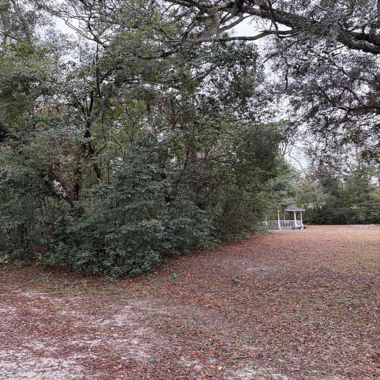 Just another WordPress site