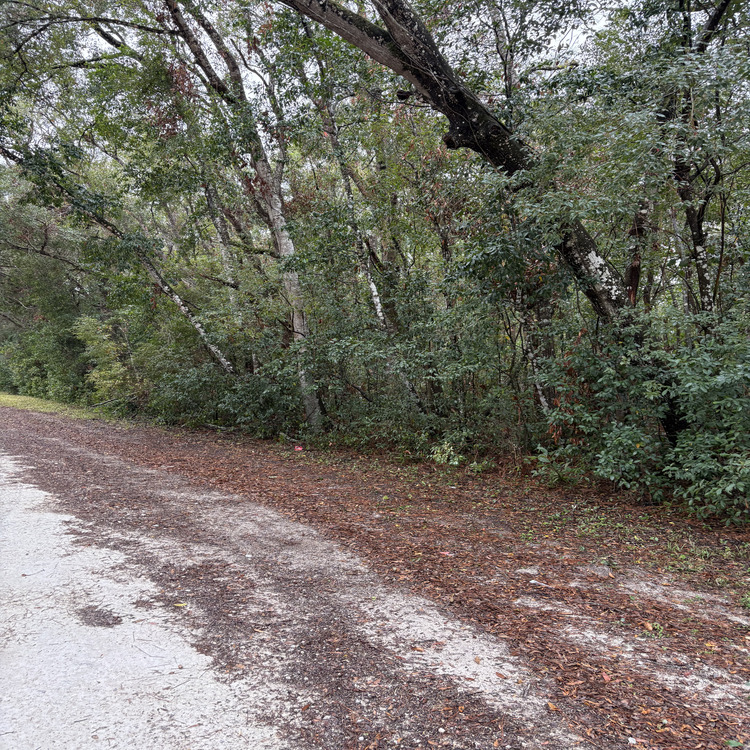 Just another WordPress site