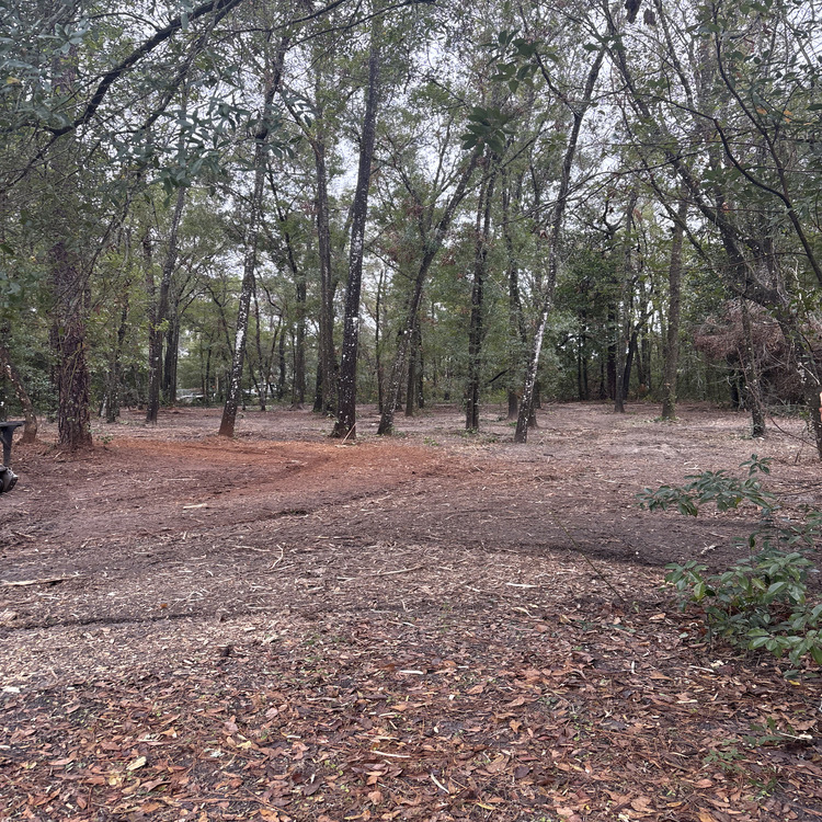 Just another WordPress site