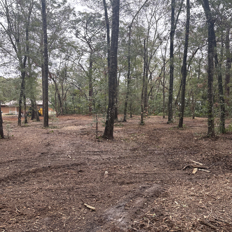 Just another WordPress site