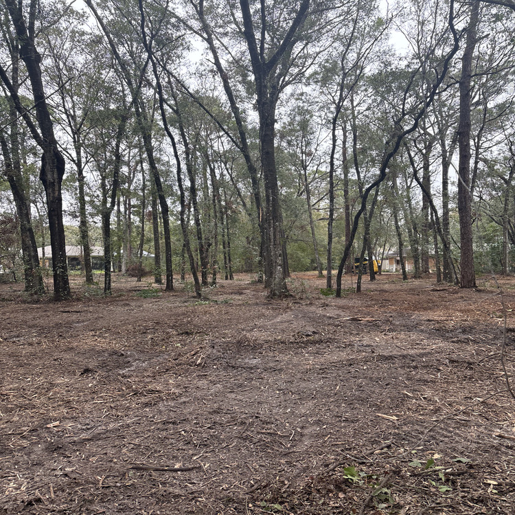 Just another WordPress site