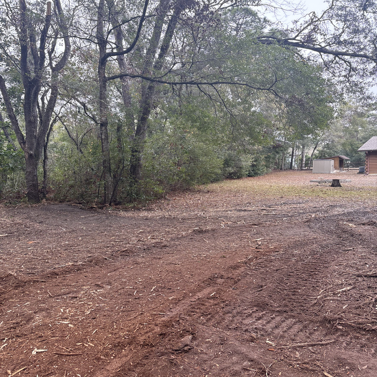 Just another WordPress site