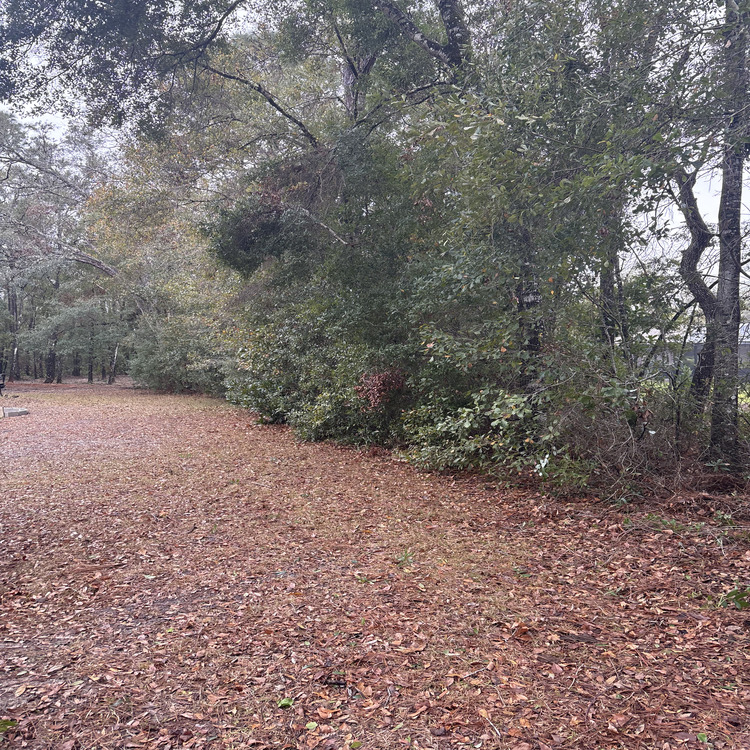 Just another WordPress site