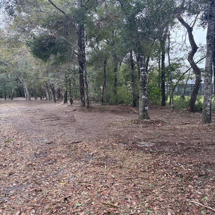 Just another WordPress site