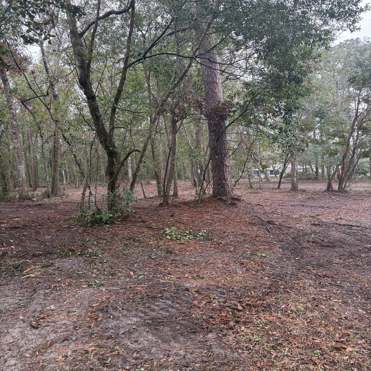 Just another WordPress site