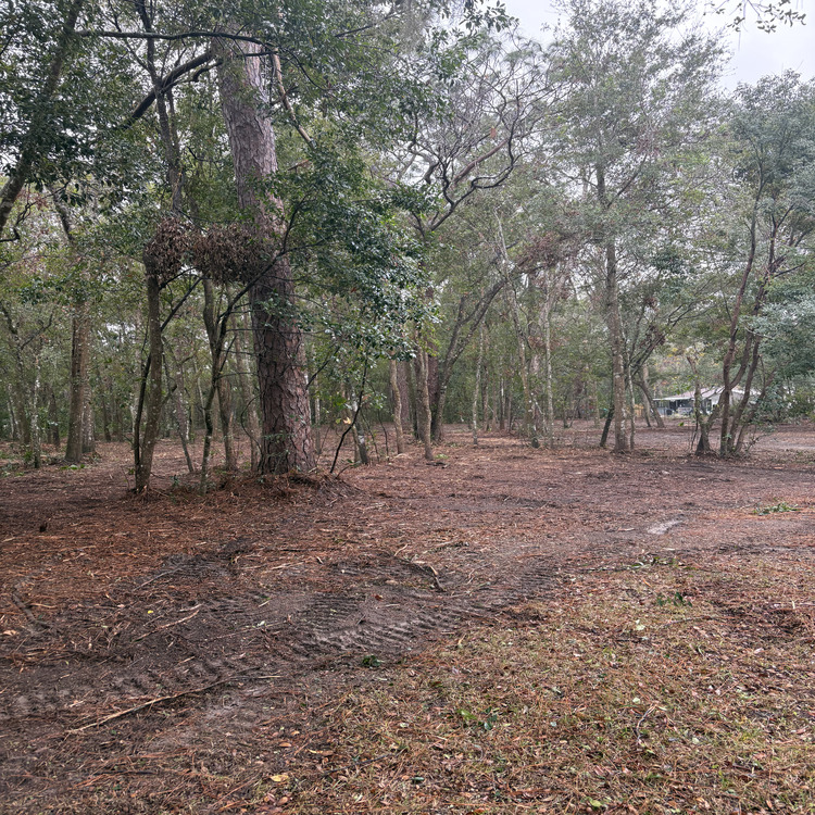 Just another WordPress site