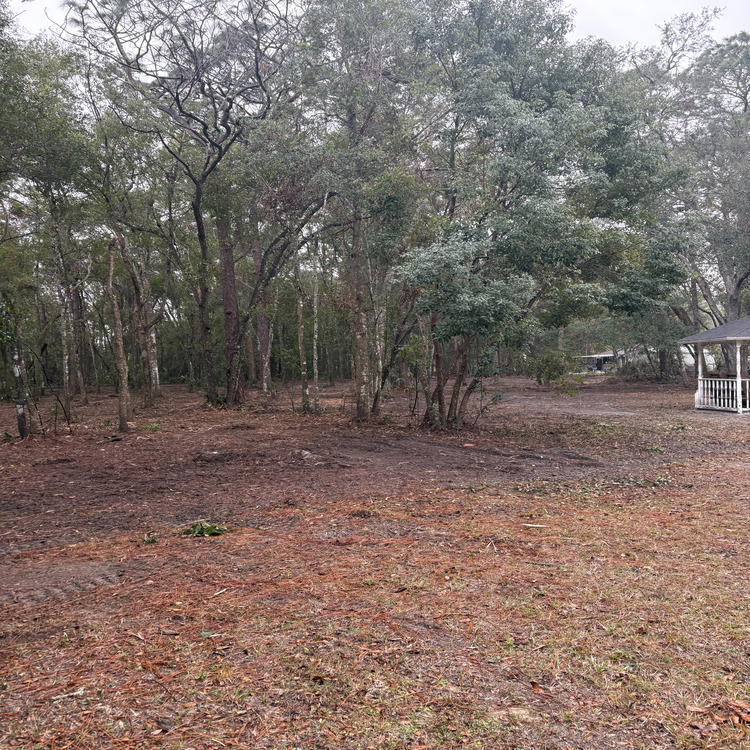 Just another WordPress site