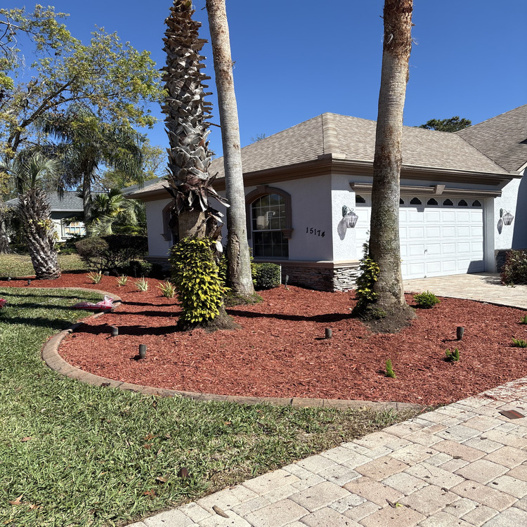 Just another WordPress site