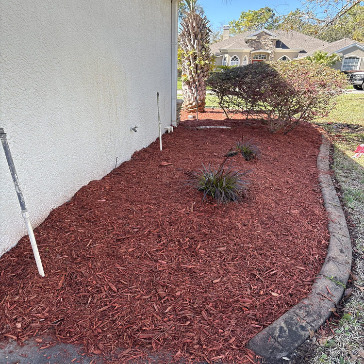 Just another WordPress site