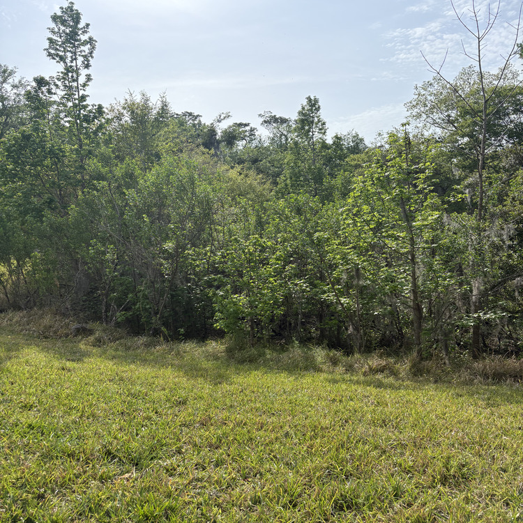 Just another WordPress site