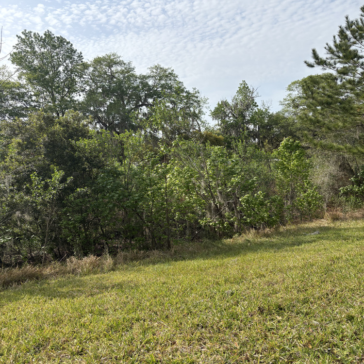 Just another WordPress site