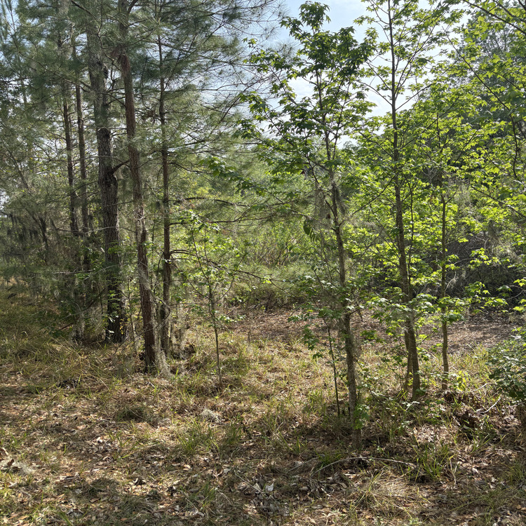 Just another WordPress site