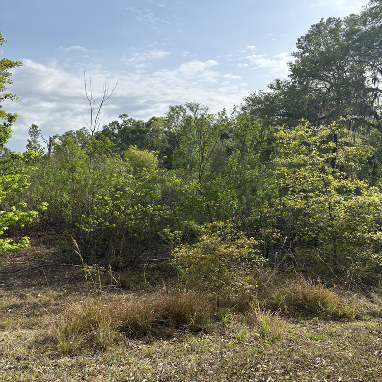 Just another WordPress site