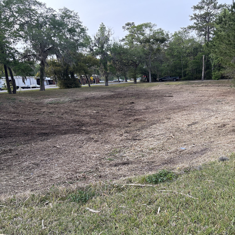 Just another WordPress site