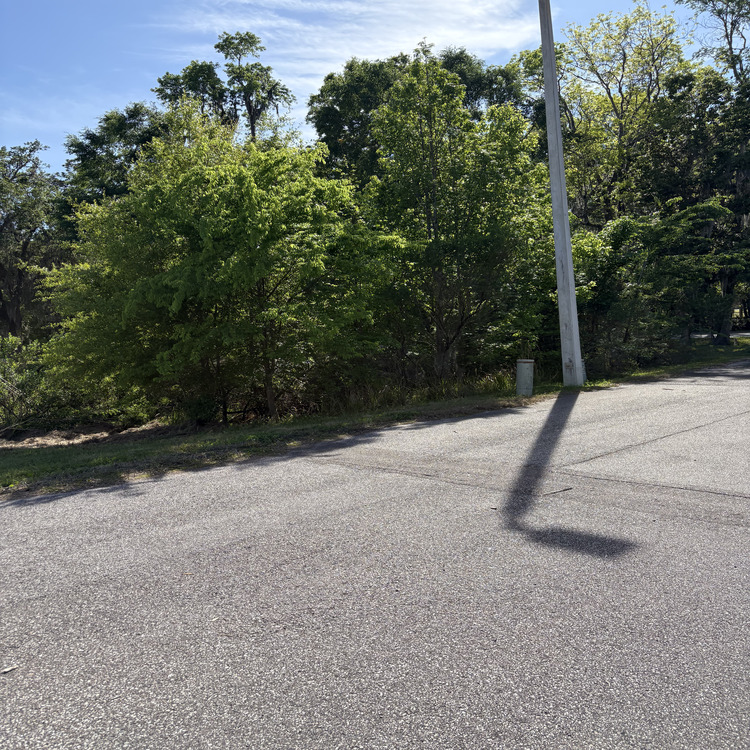 Just another WordPress site