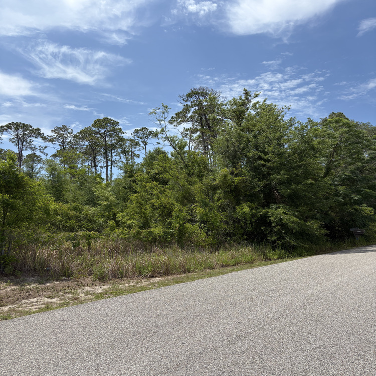 Just another WordPress site