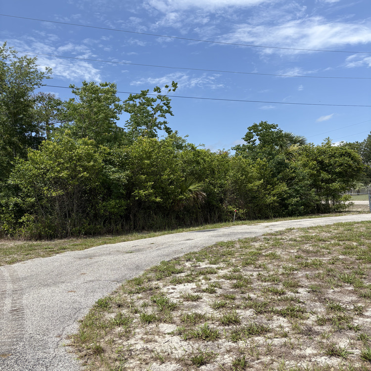 Just another WordPress site