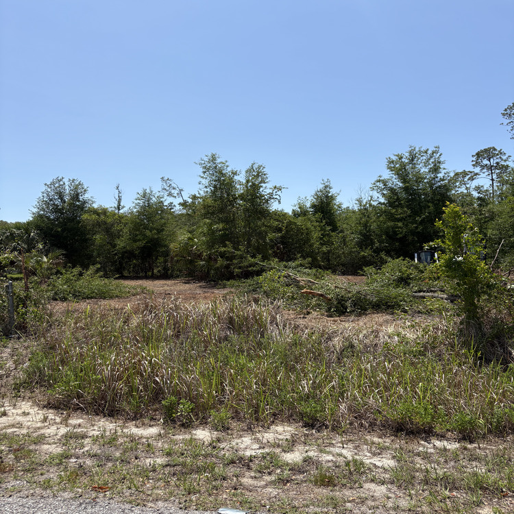 Just another WordPress site