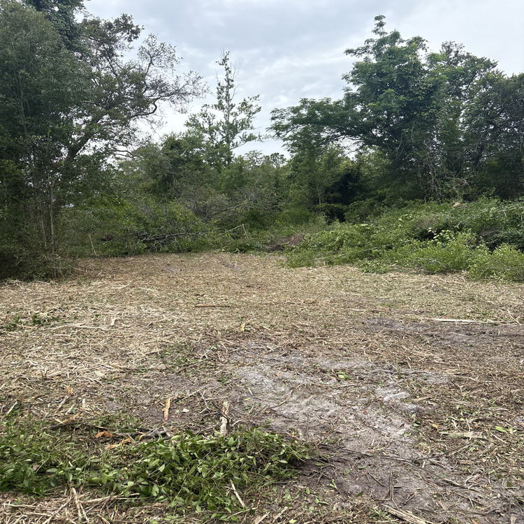 Just another WordPress site