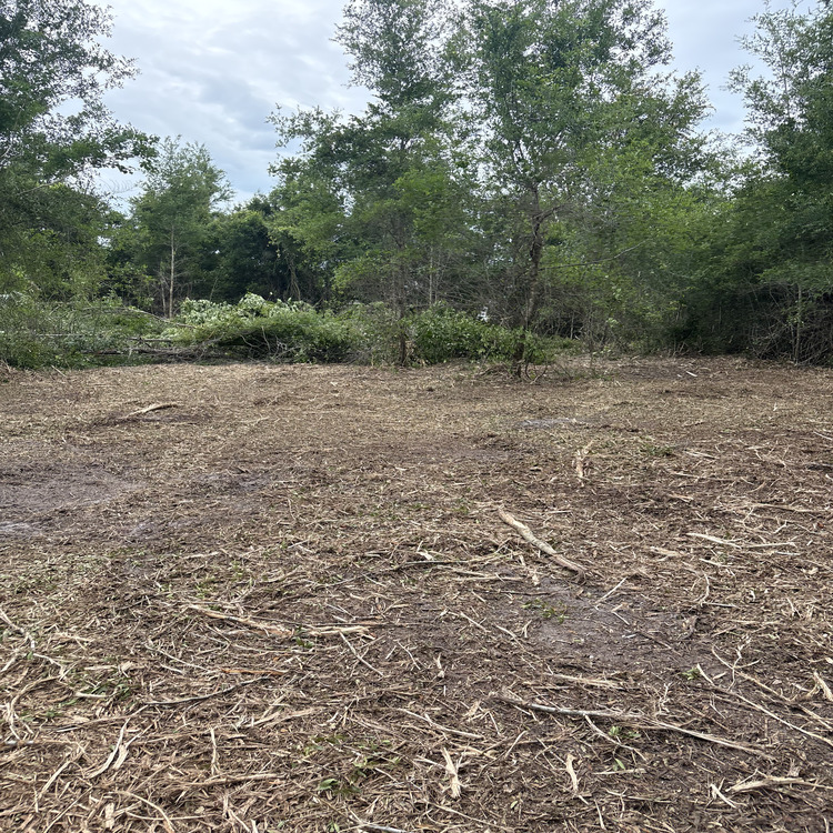 Just another WordPress site