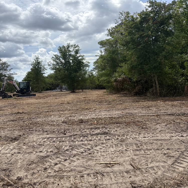 Just another WordPress site