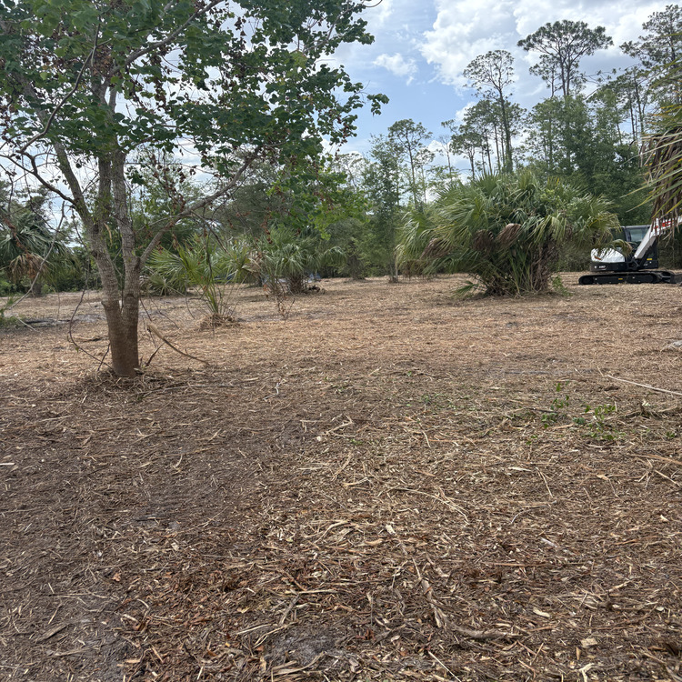 Just another WordPress site