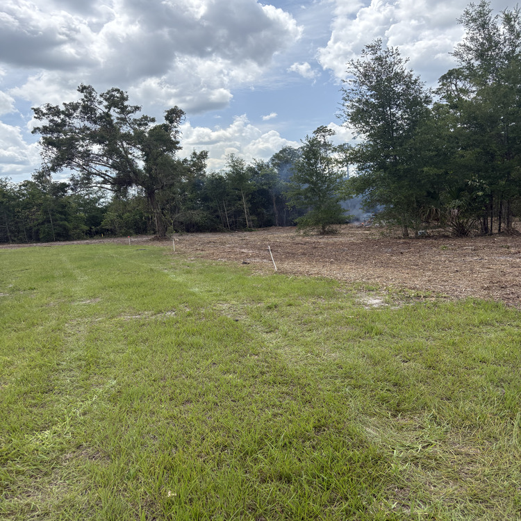 Just another WordPress site