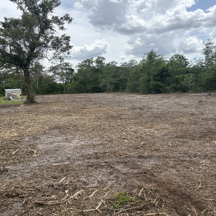 Just another WordPress site