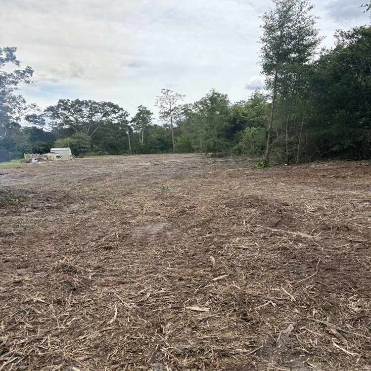 Just another WordPress site