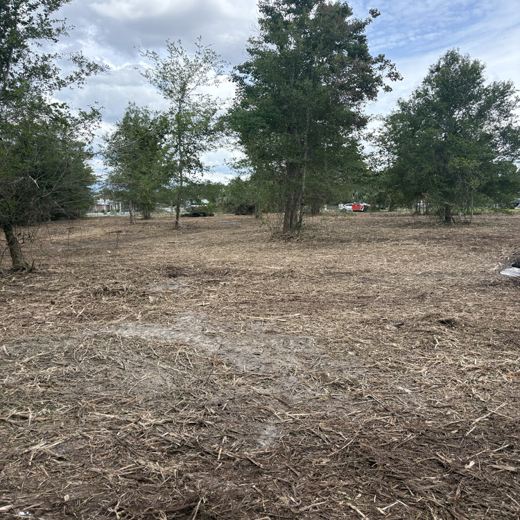 Just another WordPress site