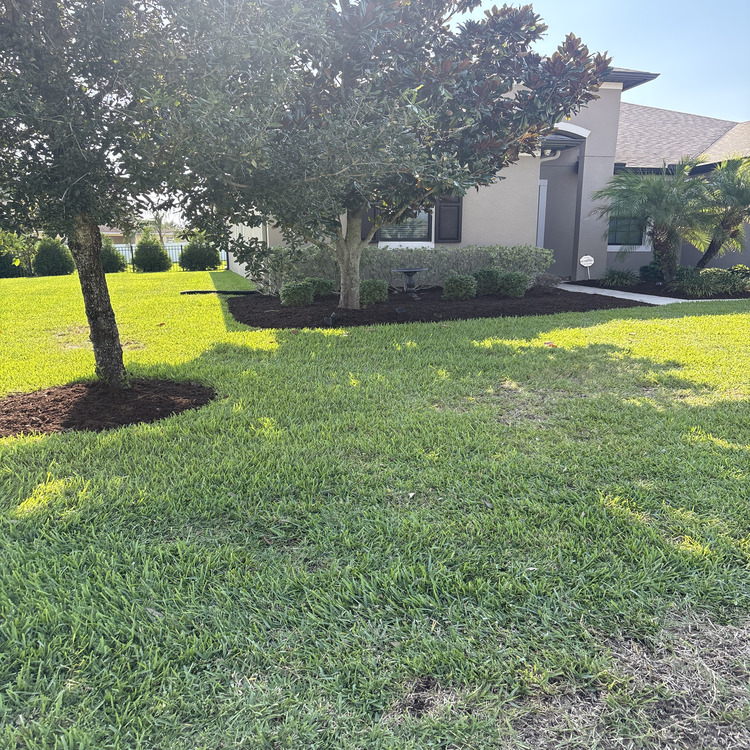 Just another WordPress site