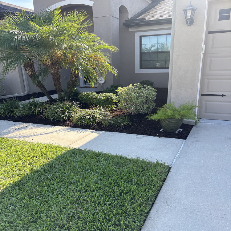 Just another WordPress site