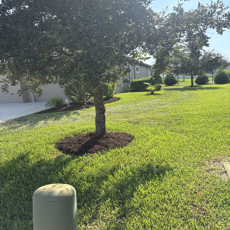 Just another WordPress site