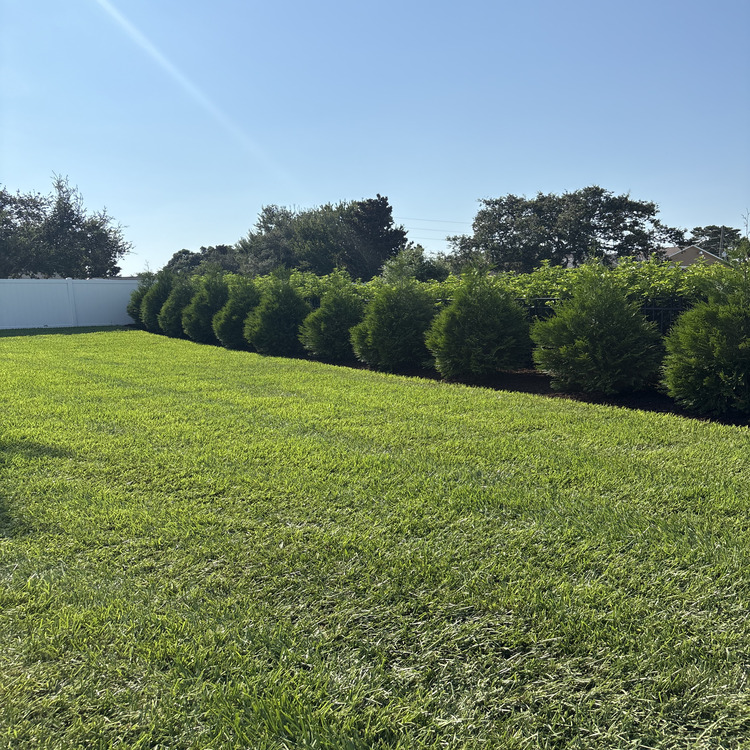 Just another WordPress site