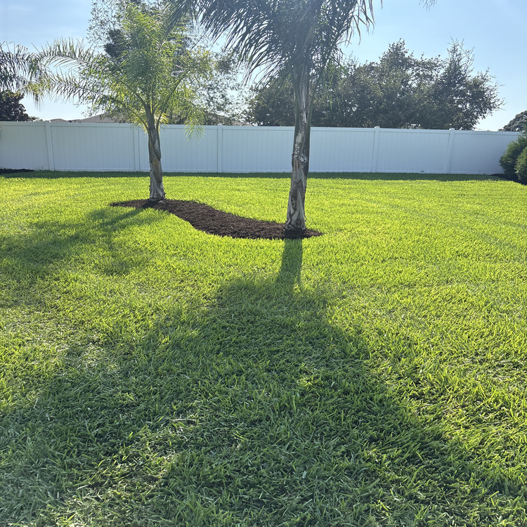 Just another WordPress site