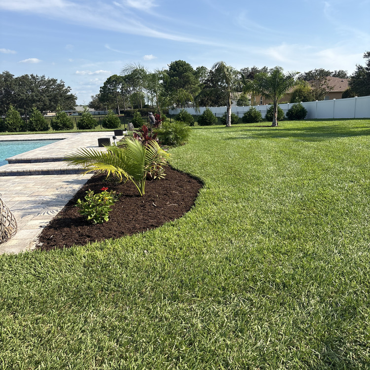 Just another WordPress site