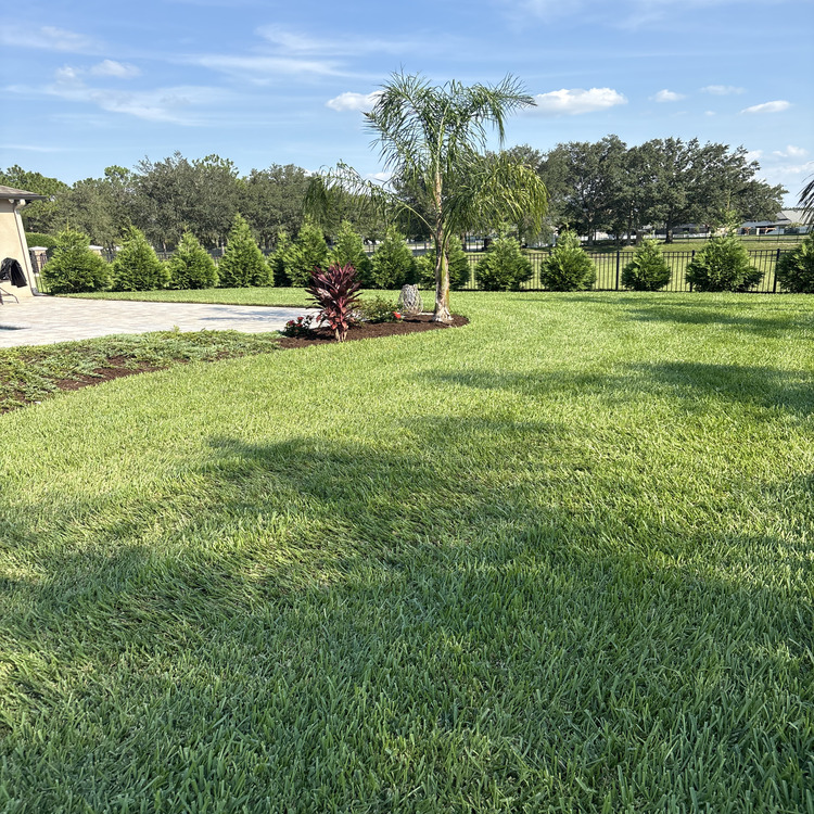 Just another WordPress site