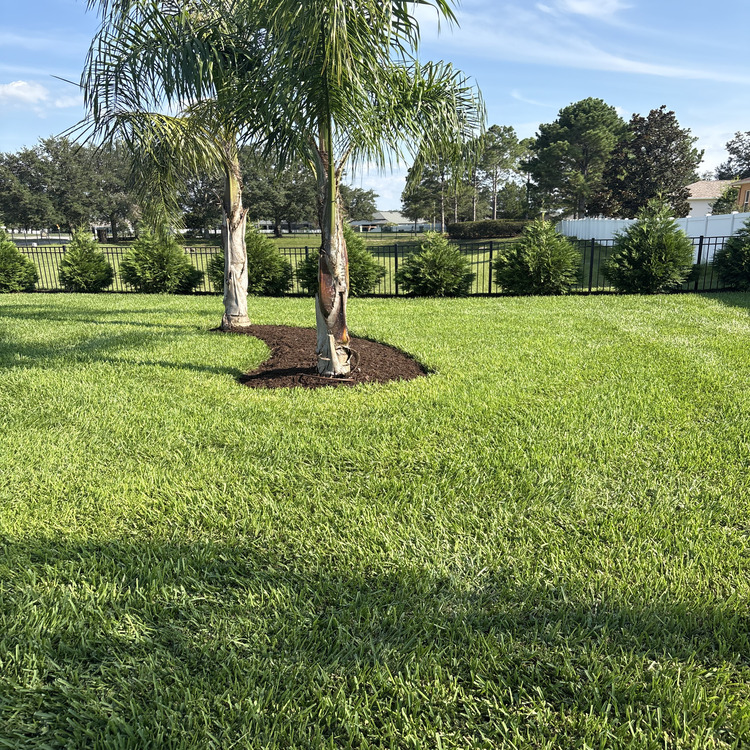 Just another WordPress site