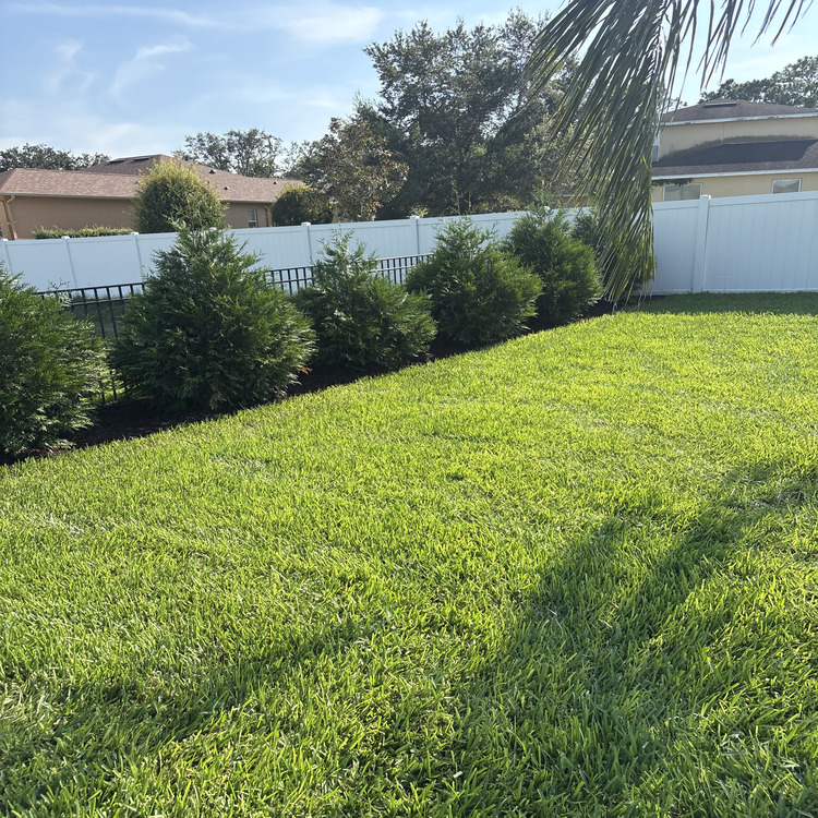 Just another WordPress site