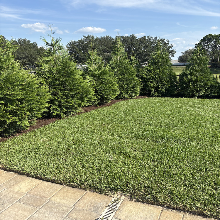 Just another WordPress site