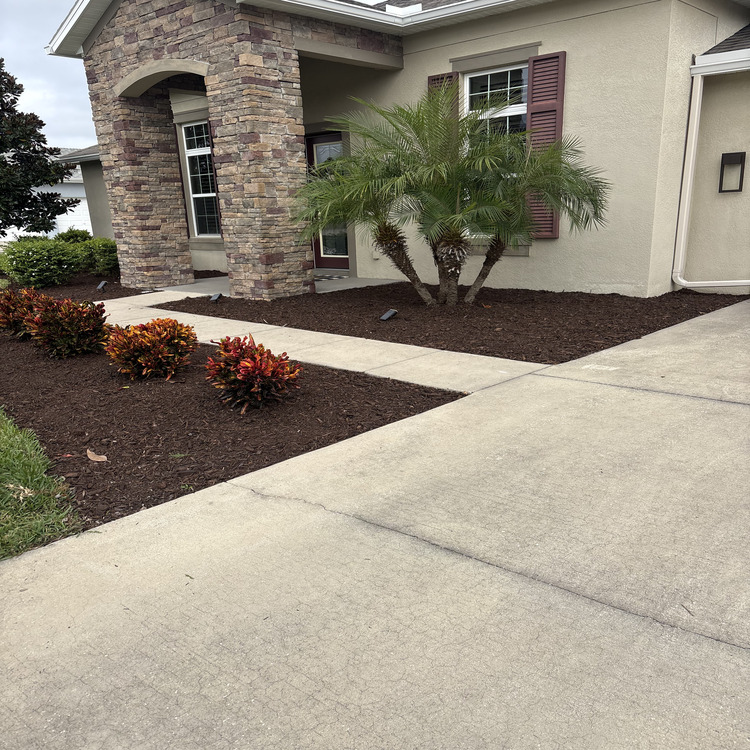 Just another WordPress site