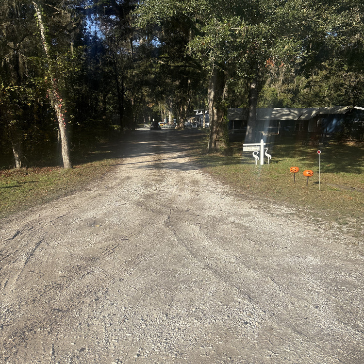 Just another WordPress site