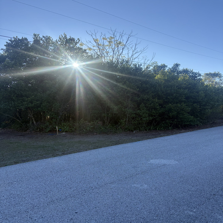 Just another WordPress site