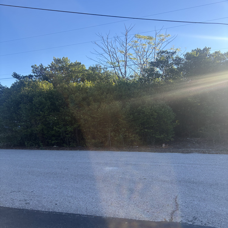 Just another WordPress site